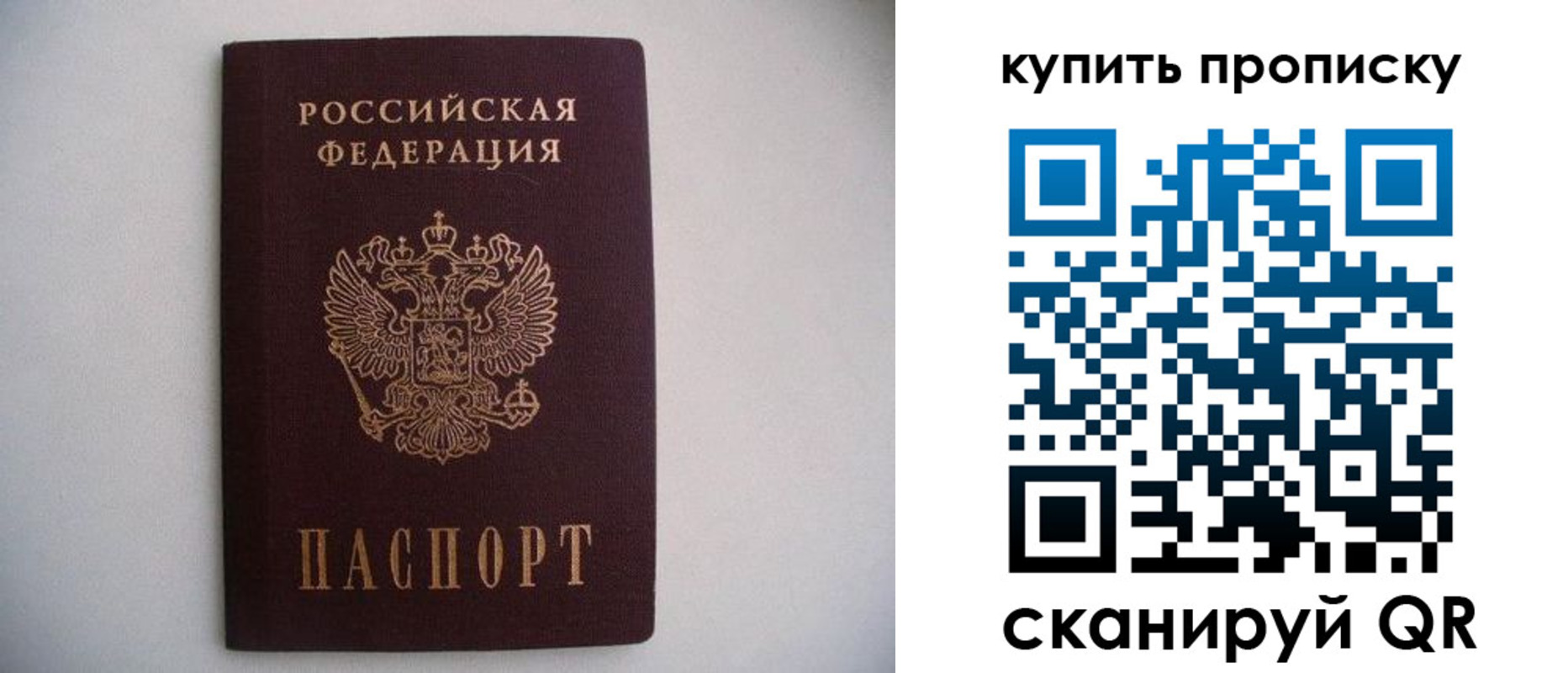 временная регистрация в Дмитрове